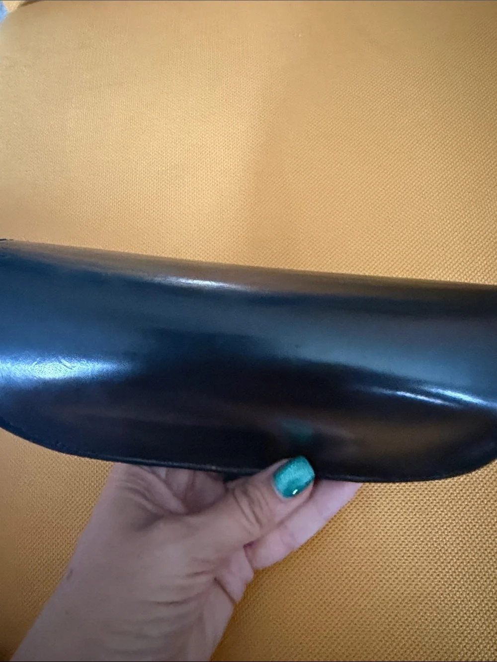 Loewe Sunglasses Case